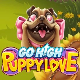 Go High Puppy Love – slot by RubyPlay, featured at ultracasinoo.ca